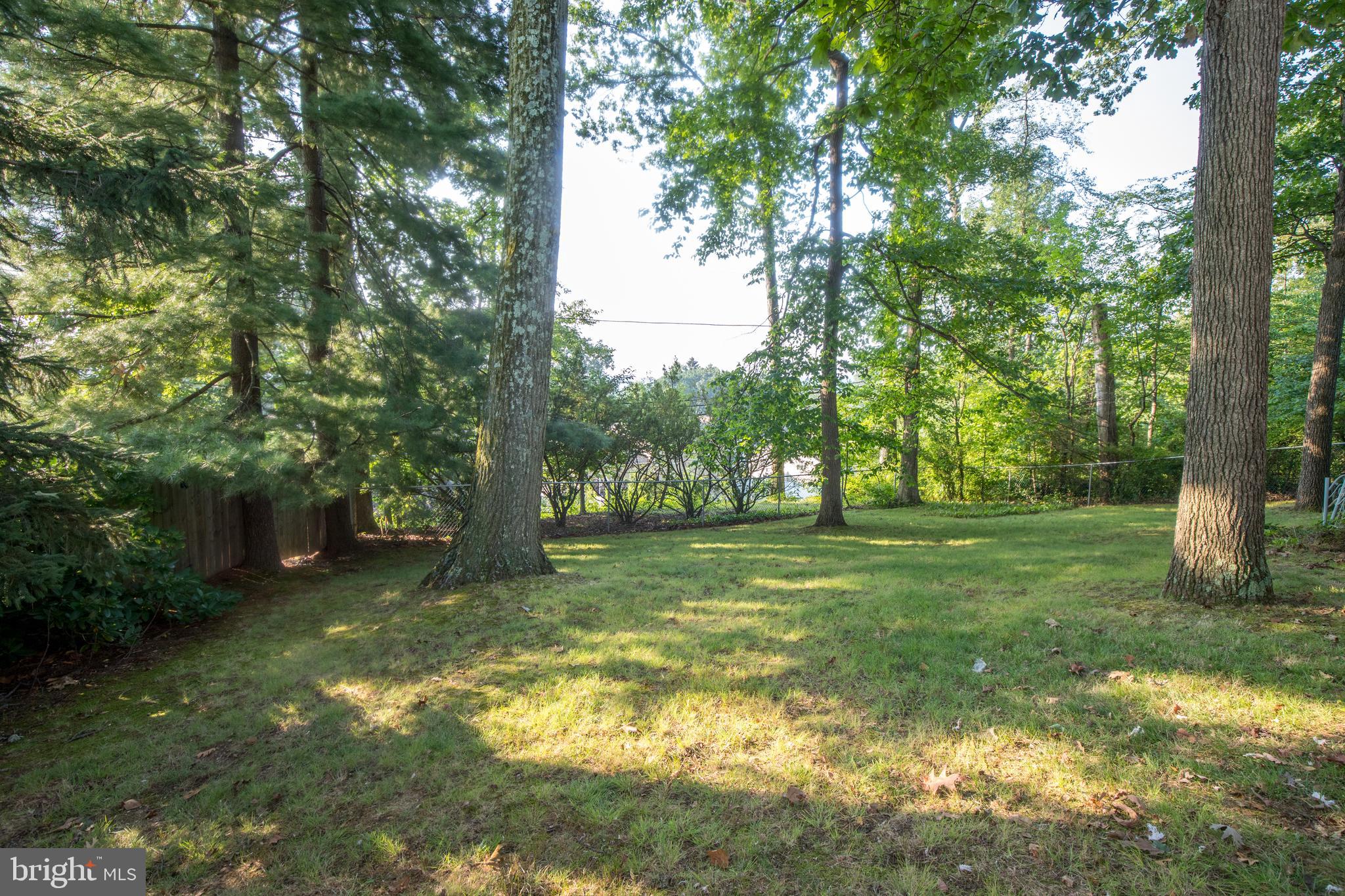 1373 Clarke Road Abington, PA 19001 - Photo 19 of 24 Expansive Back Yard