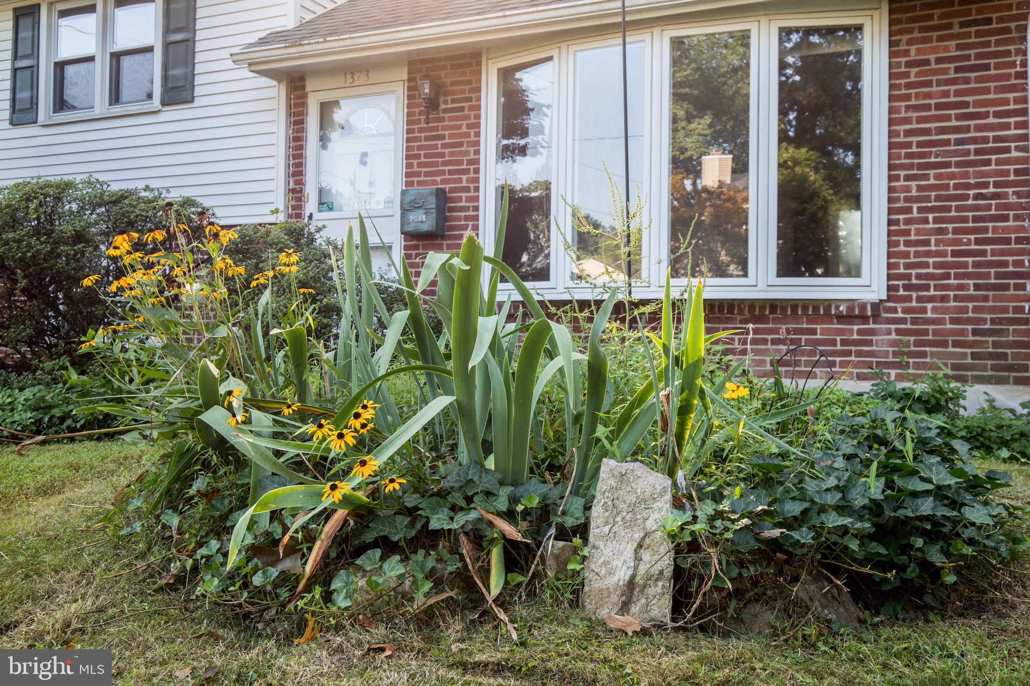 1373 Clarke Road Abington, PA 19001 - Photo 22 of 24 Beautiful Plantings in front Yard