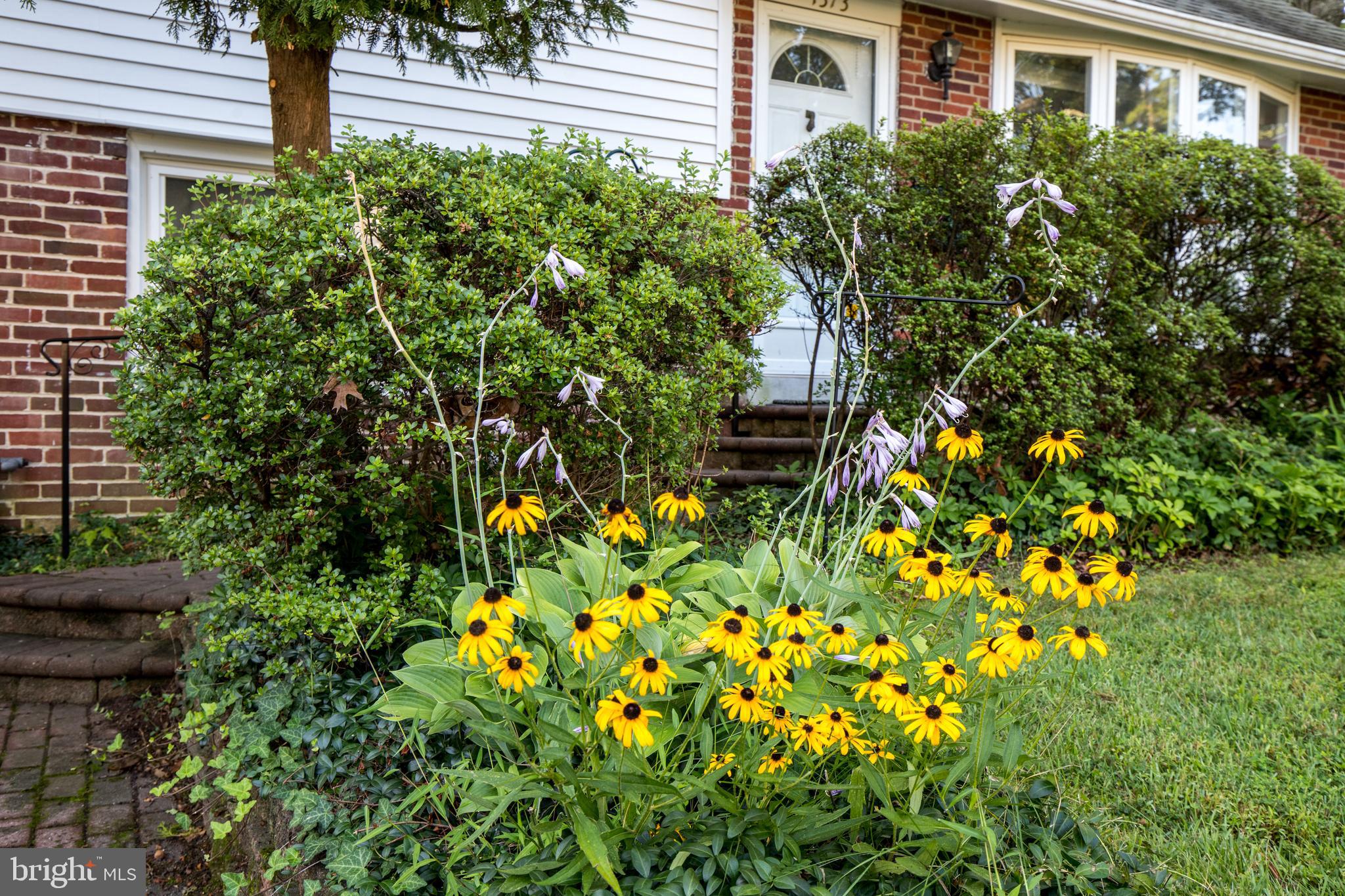 1373 Clarke Road Abington, PA 19001 - Photo 23 of 24 Beautiful Plantings by Driveway
