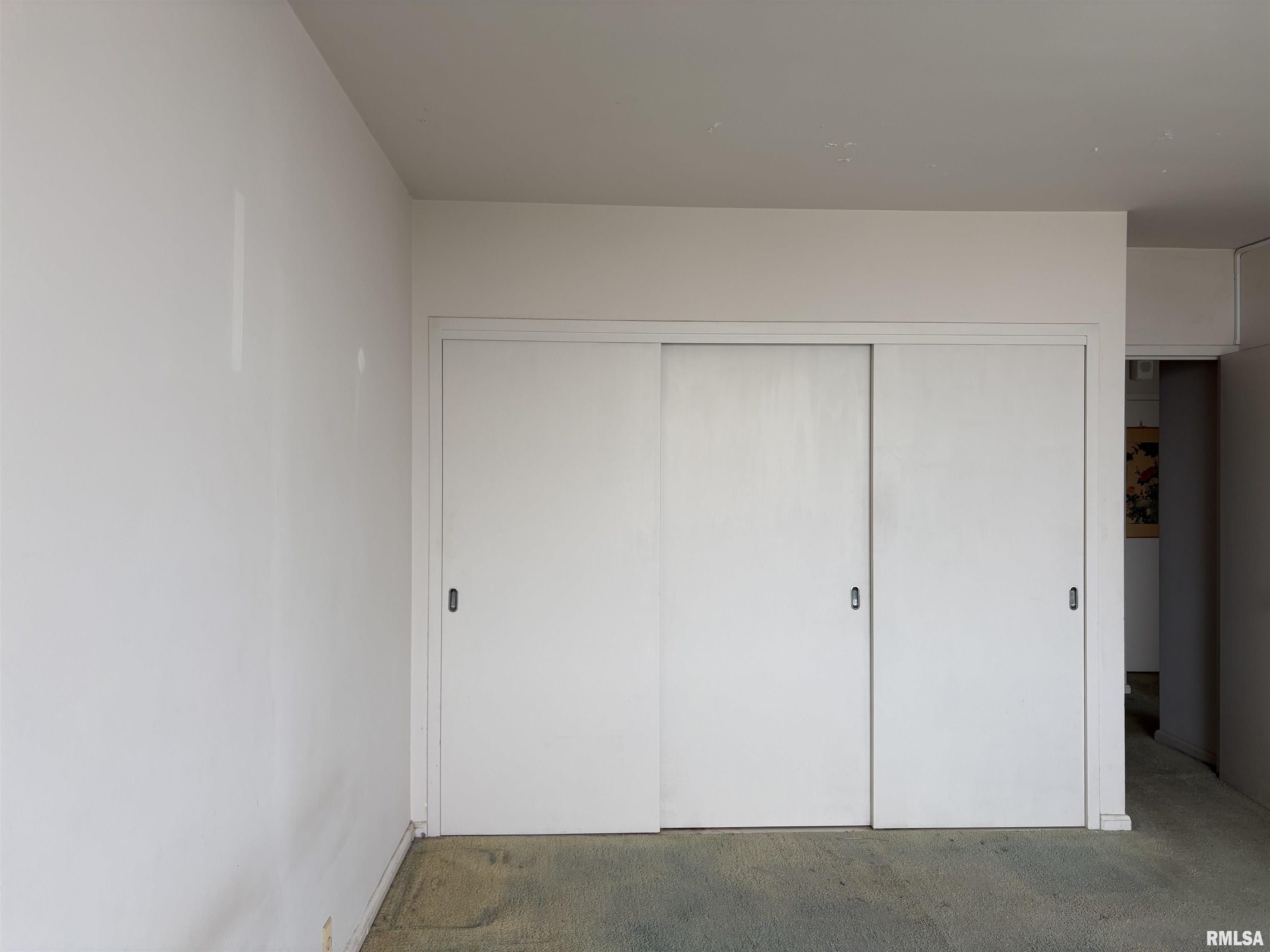 718 South 7th Street, Unit 1106 Springfield, IL 62703 - Photo 19 of 24 Gallery Image 19
