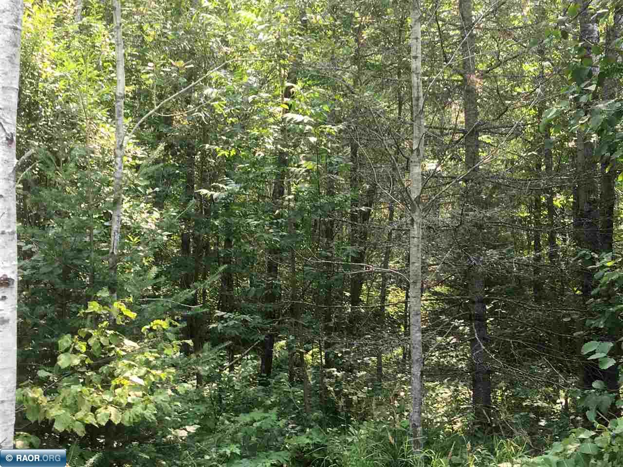 Tbd Tbd Bassett Bay Beach Road Brimson, MN 55602 - Photo 17 of 18