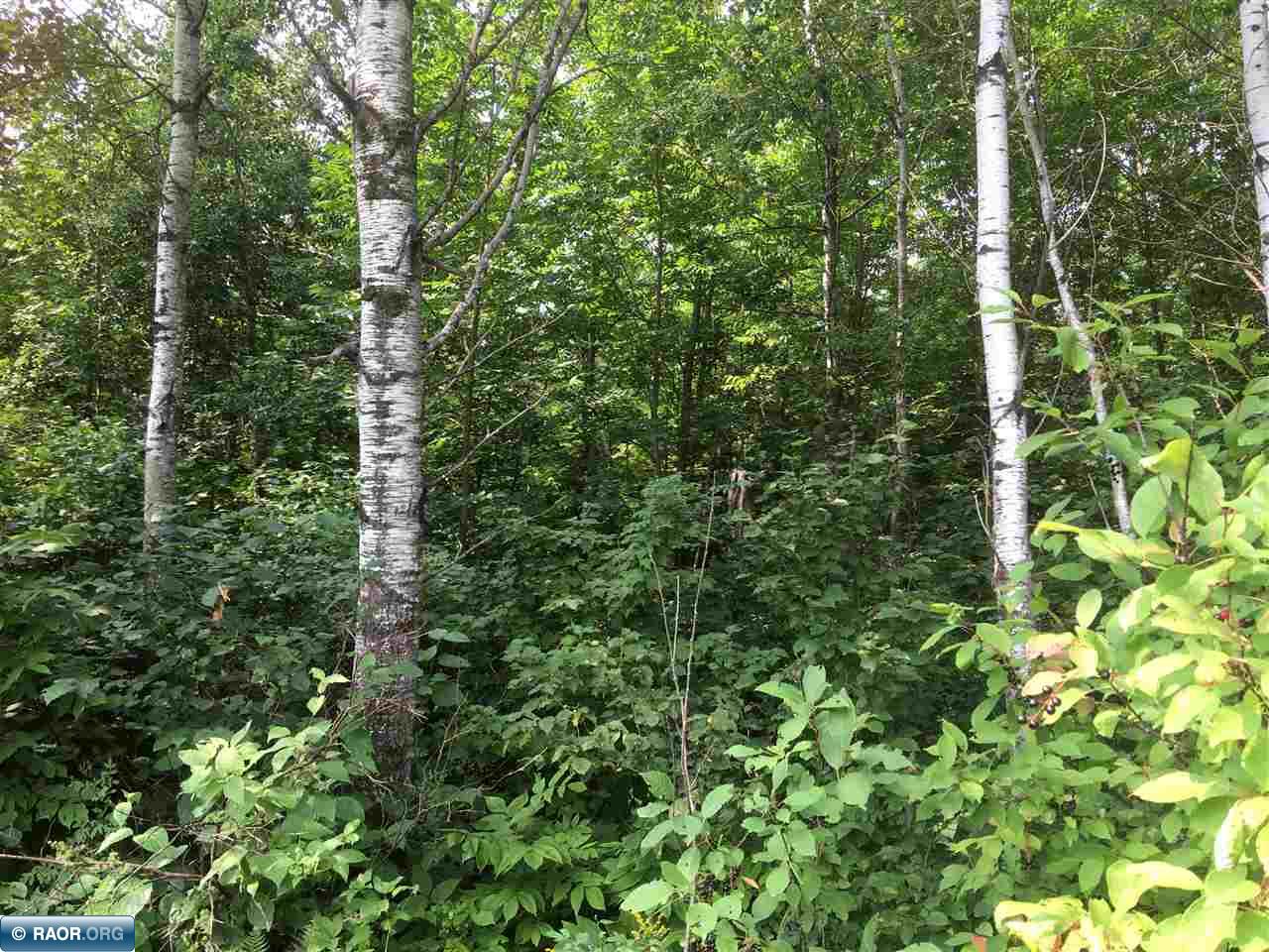 Tbd Tbd Bassett Bay Beach Road Brimson, MN 55602 - Photo 6 of 18