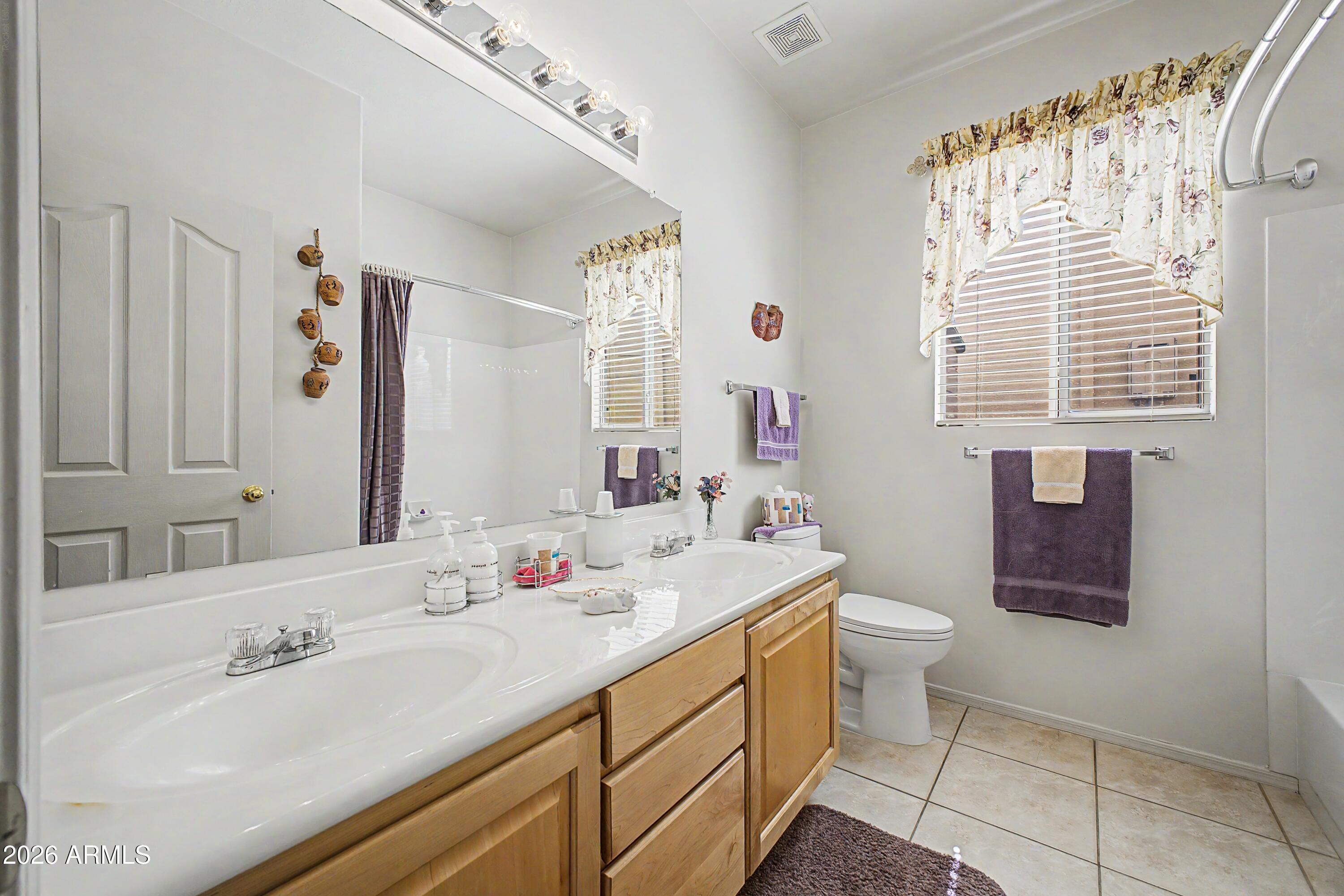 433 West Desert Avenue Gilbert, AZ 85233 - Photo 13 of 23 a bathroom with a sink a toilet and mirror