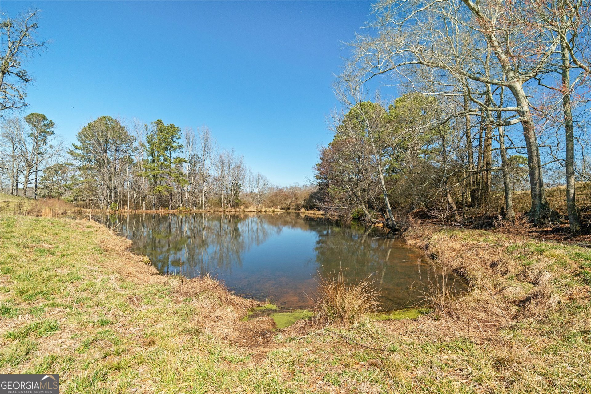 585 Sardis Bethel Road Bowdon, GA 30108 - Photo 11 of 24