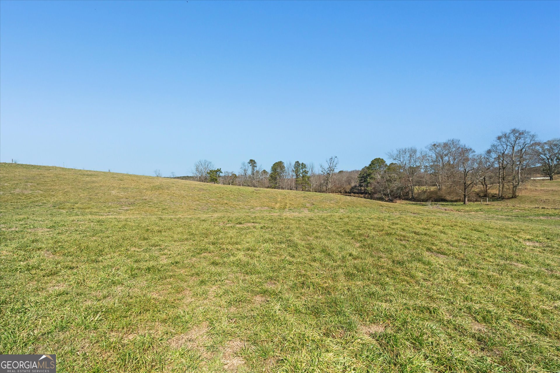 585 Sardis Bethel Road Bowdon, GA 30108 - Photo 6 of 24