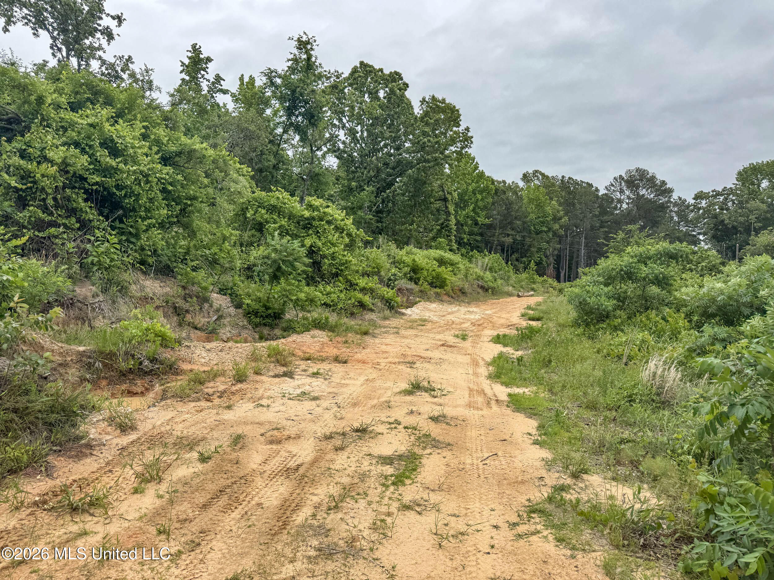 Wayne Massie Road Como, MS 38619 - Photo 136 of 184 5cdtbs77