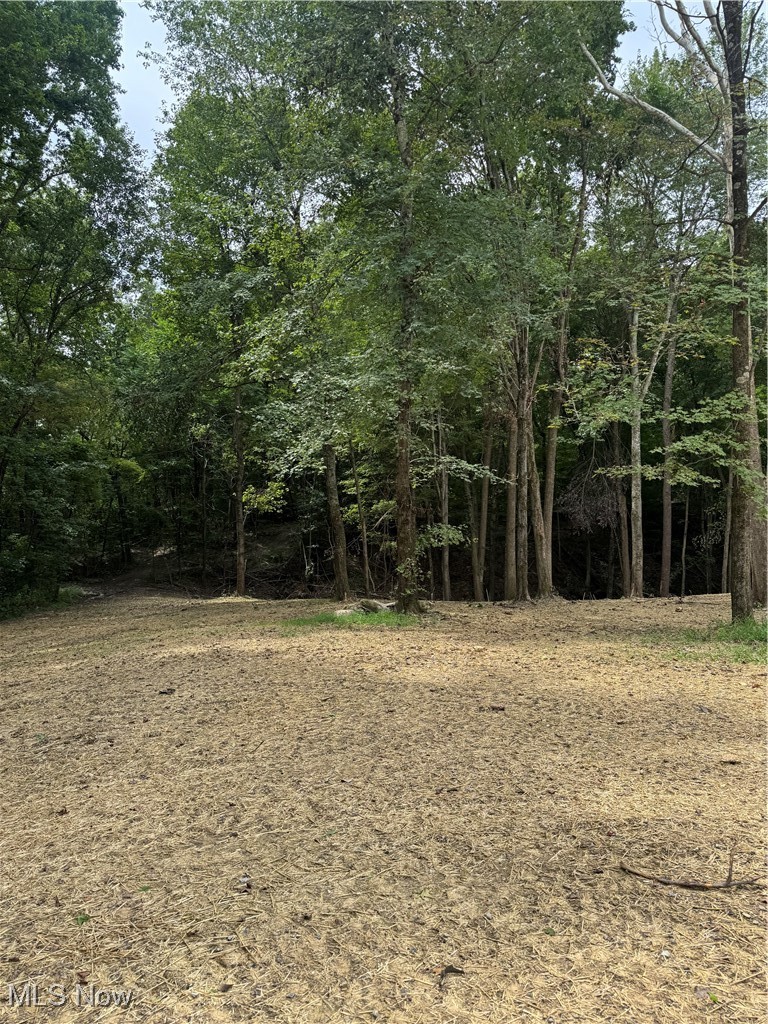 9945 Wesley Chapel Road Mount Perry, OH 43760 - Photo 15 of 15 View of wooded area