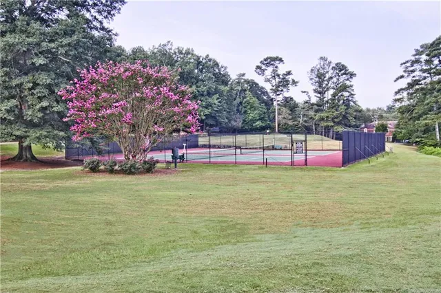 a view of a garden with a bench