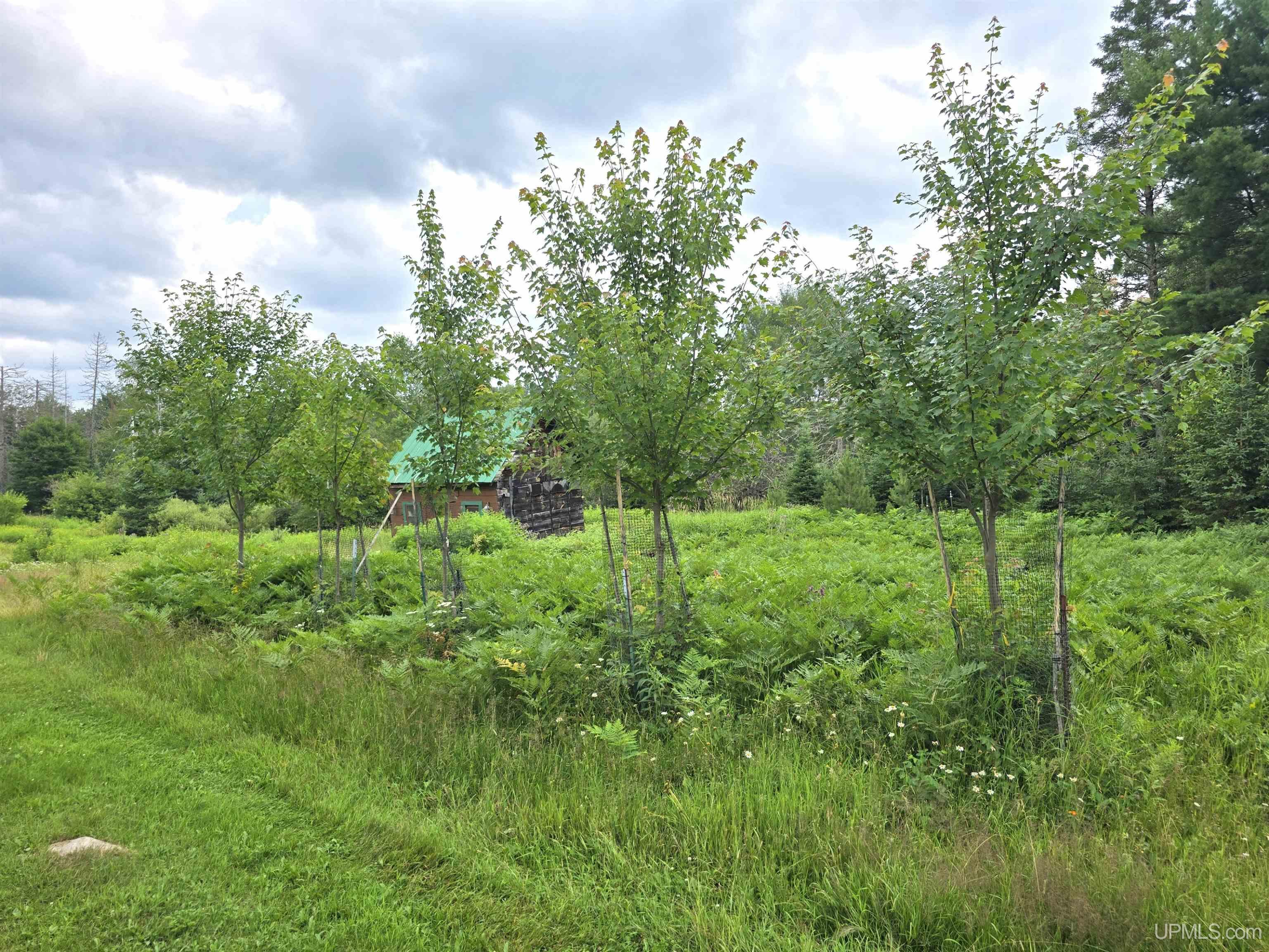 27208 County 601 Road Champion, MI 49814 - Photo 27 of 46 Gallery Image 27