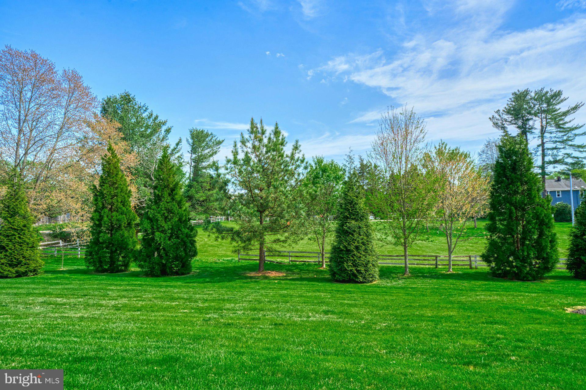 10405 Marbury Road Oakton, VA 22124 - Photo 65 of 72 a view of a grassy field with trees