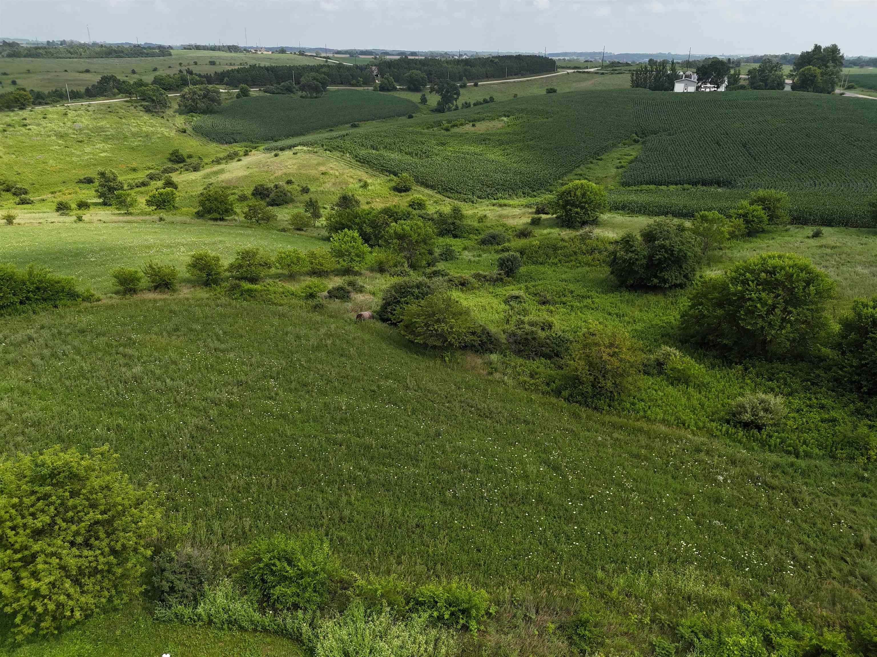Lot 27 Highway 39 Blanchardville Wi 53574 New Glarus, WI 53574 - Photo 10 of 11