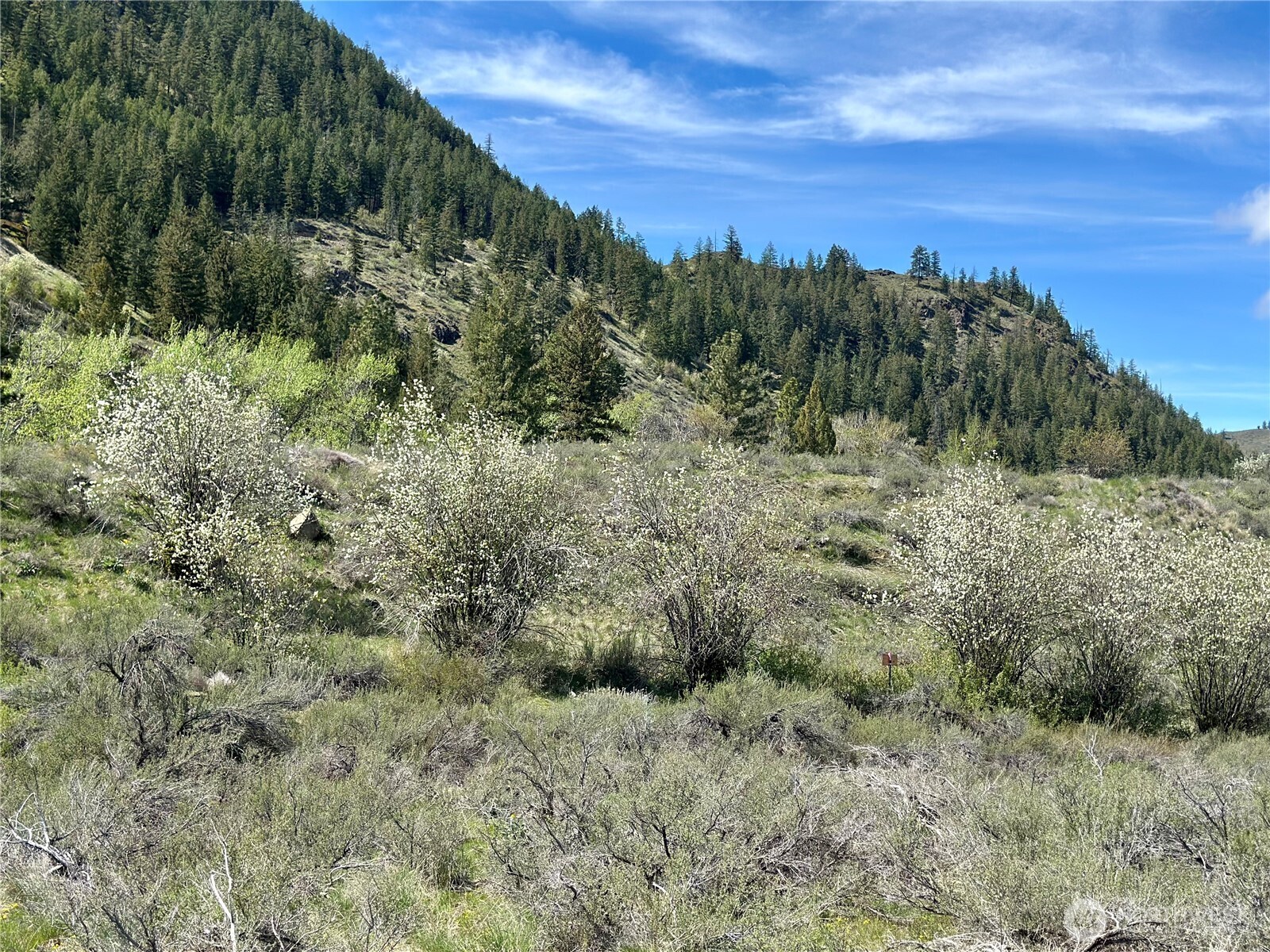 2 X Alder Road Twisp, WA 98856 - Photo 22 of 38