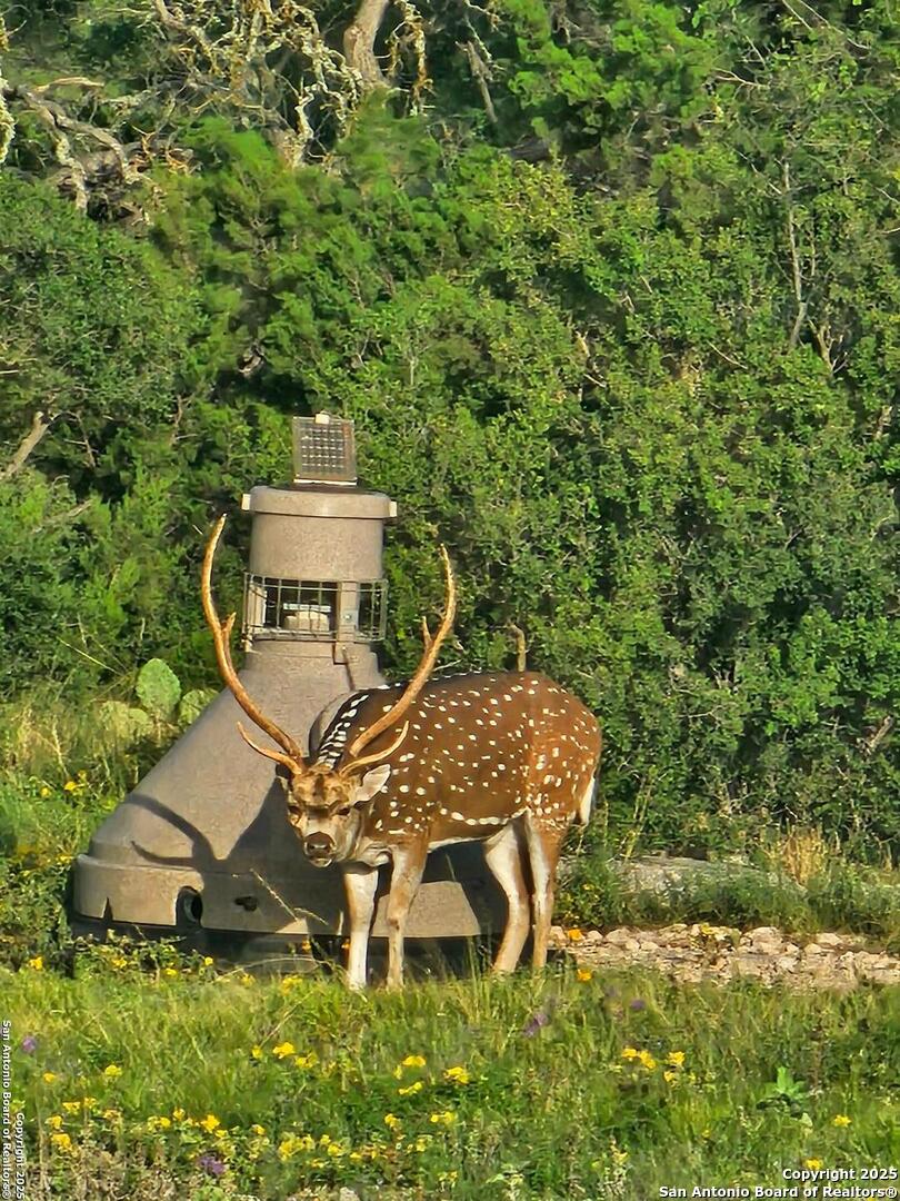 an aerial view of a house with garden space and sitting area