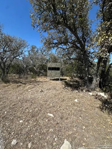 a view of a large body of water with a large tree