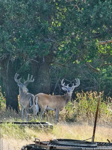 a view of a backyard with table and chairs