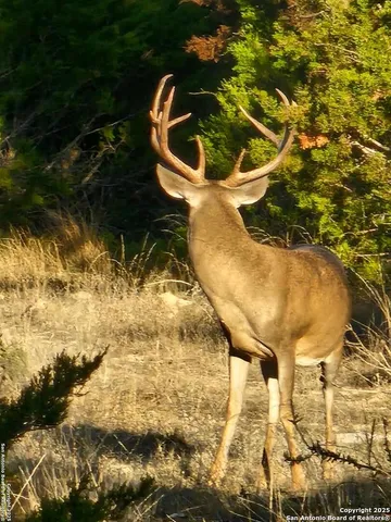 a view of swimming pool