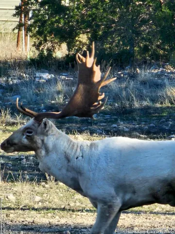 a view of a water fountain