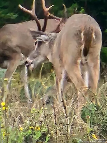 a view of a swimming pool
