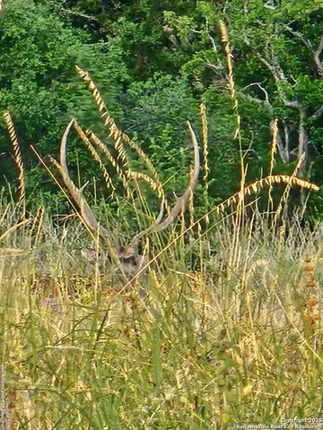 a map view of a yard