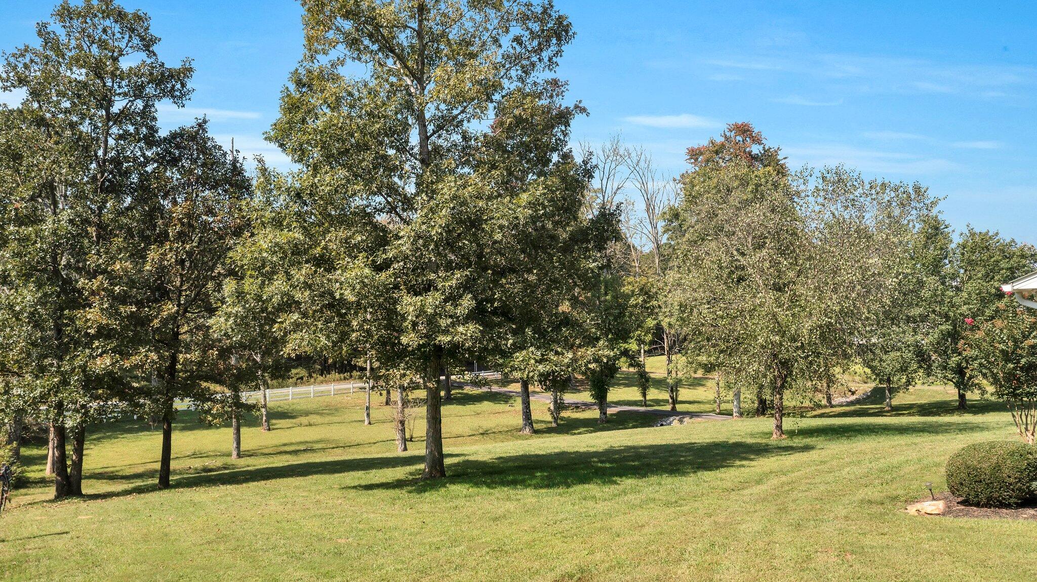 2531 Ladd Springs Road Southeast Old Fort, TN 37362 - Photo 7 of 52 7-web-or-mls-DJI_0411