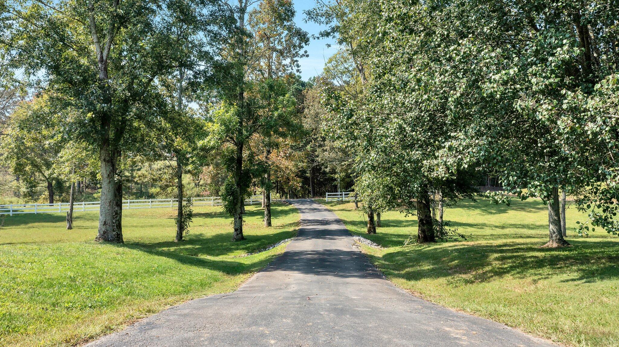 2531 Ladd Springs Road Southeast Old Fort, TN 37362 - Photo 8 of 52 8-web-or-mls-DJI_0412