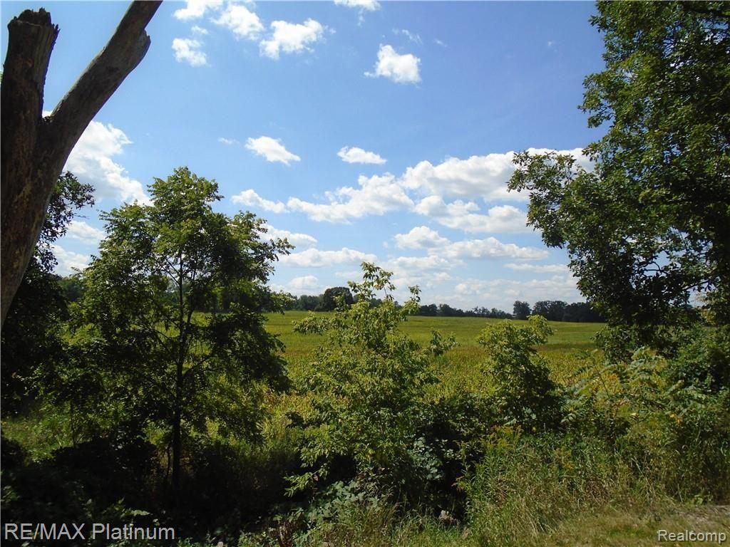 D 2 Germany Road Fenton, MI 48430 - Photo 9 of 27