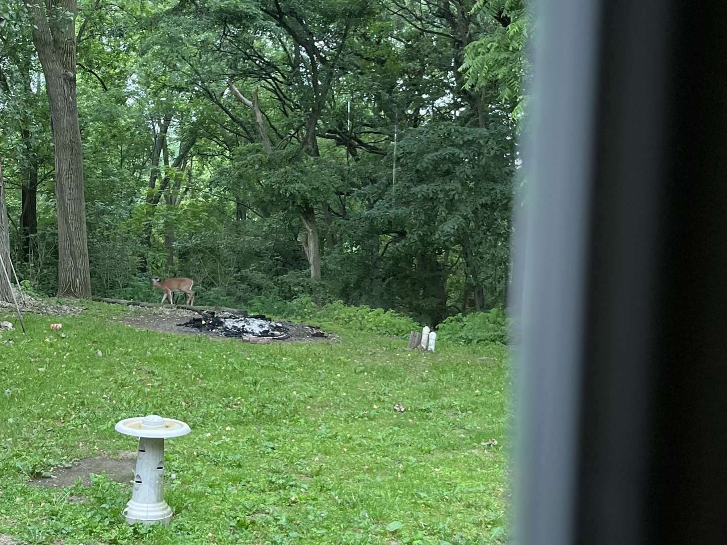 32597 Genoa Road Genoa, IL 60135 - Photo 26 of 31 a view of a backyard with toilet