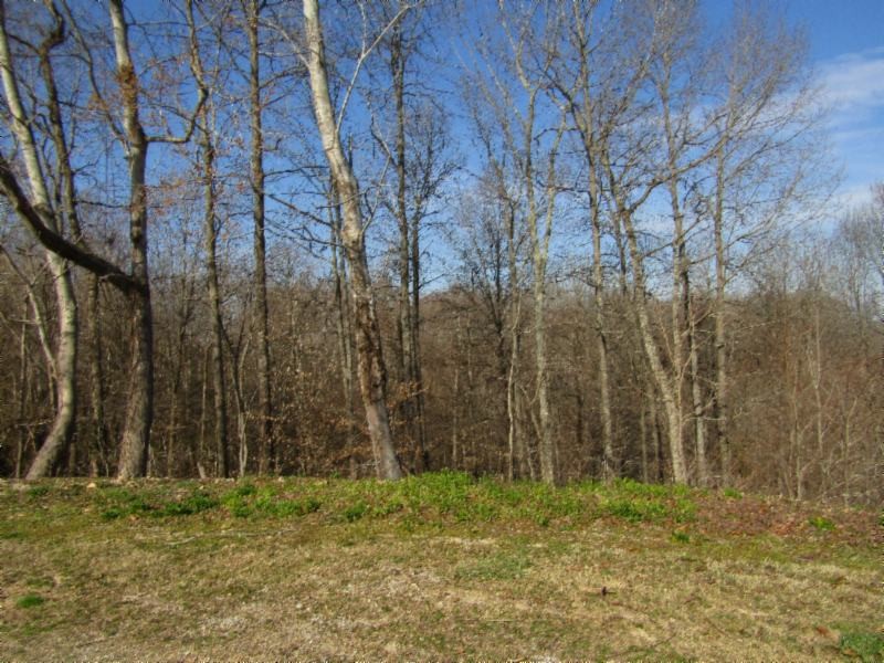 182 Ridge View Lane Baxter, TN 38544 - Photo 16 of 26 a backyard of a house with lots of green space