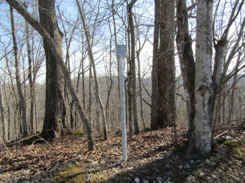 182 Ridge View Lane Baxter, TN 38544 - Photo 18 of 26 a backyard of a house with lots of green space