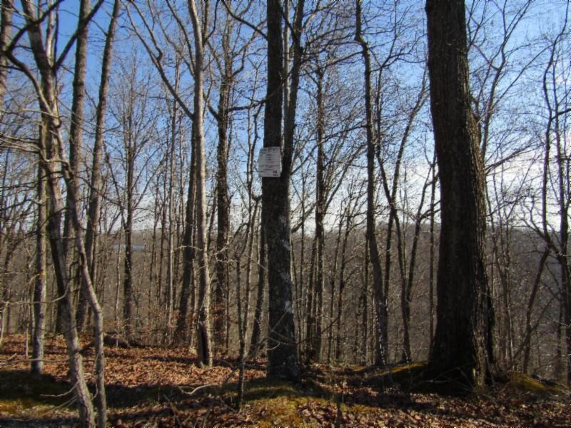 182 Ridge View Lane Baxter, TN 38544 - Photo 19 of 26 a view of a backyard of the house