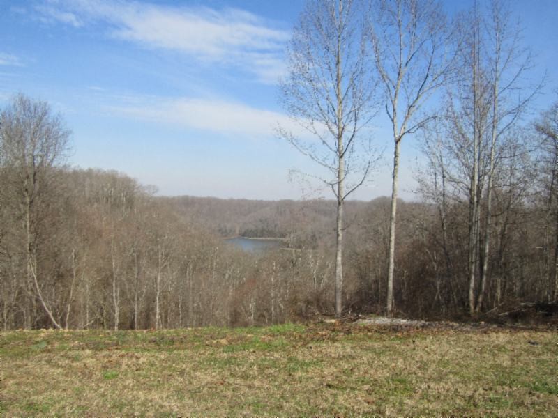 182 Ridge View Lane Baxter, TN 38544 - Photo 20 of 26 a view of outdoor space