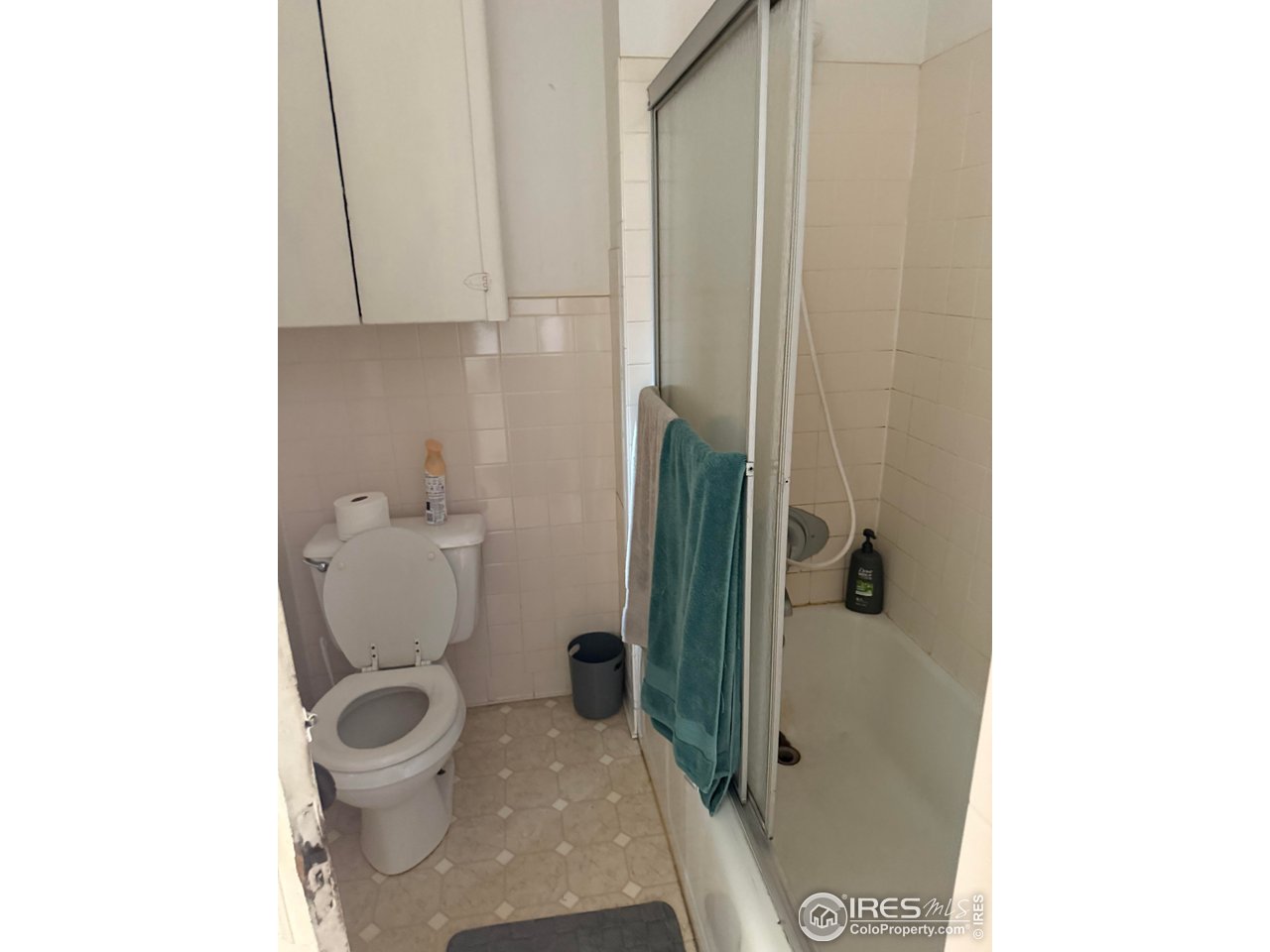 507 South Loomis Avenue Fort Collins, CO 80521 - Photo 4 of 7 a bathroom with a toilet and a shower