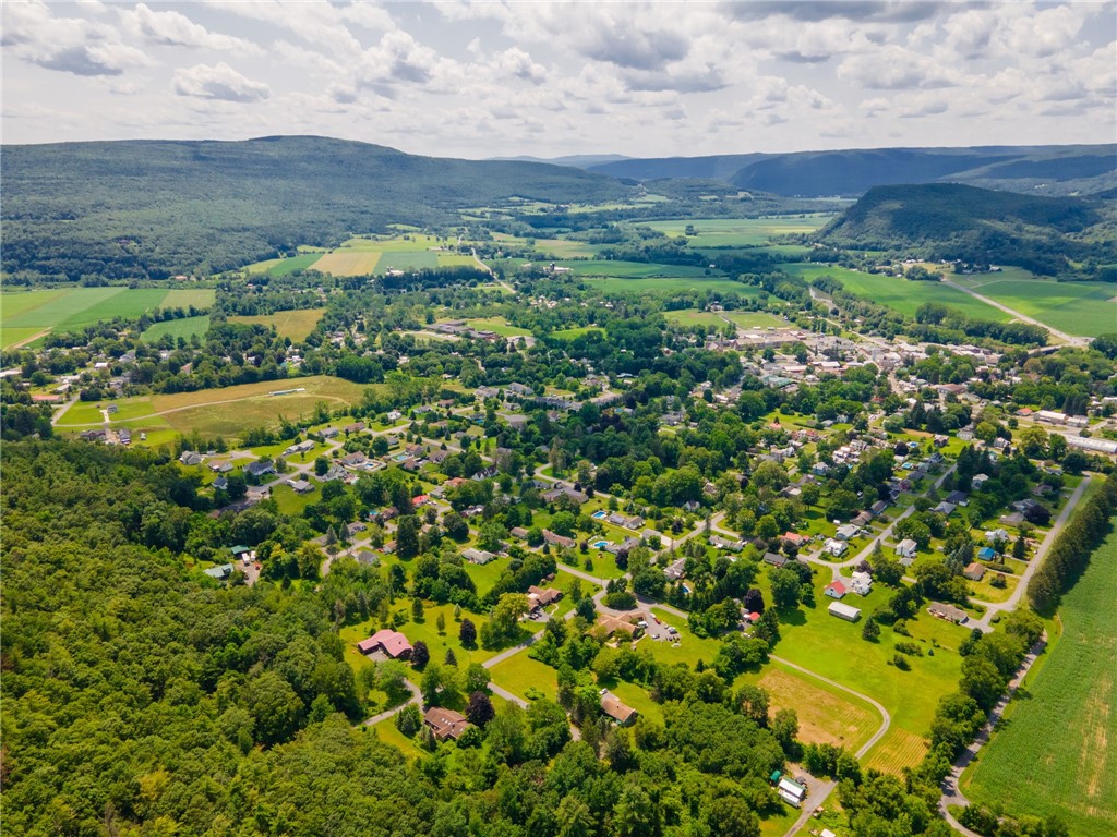 L16 MT Path Middleburgh, NY 12122 - Photo 11 of 29