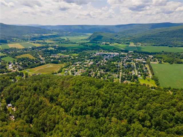 $475,000 | L16 MT Path, Middleburgh, NY 12122