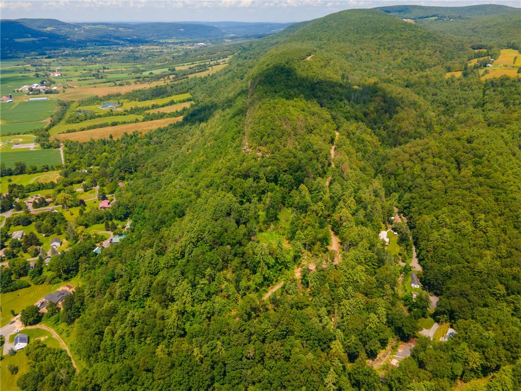 L16 MT Path Middleburgh, NY 12122 - Photo 14 of 29