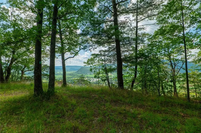 $475,000 | L16 MT Path, Middleburgh, NY 12122