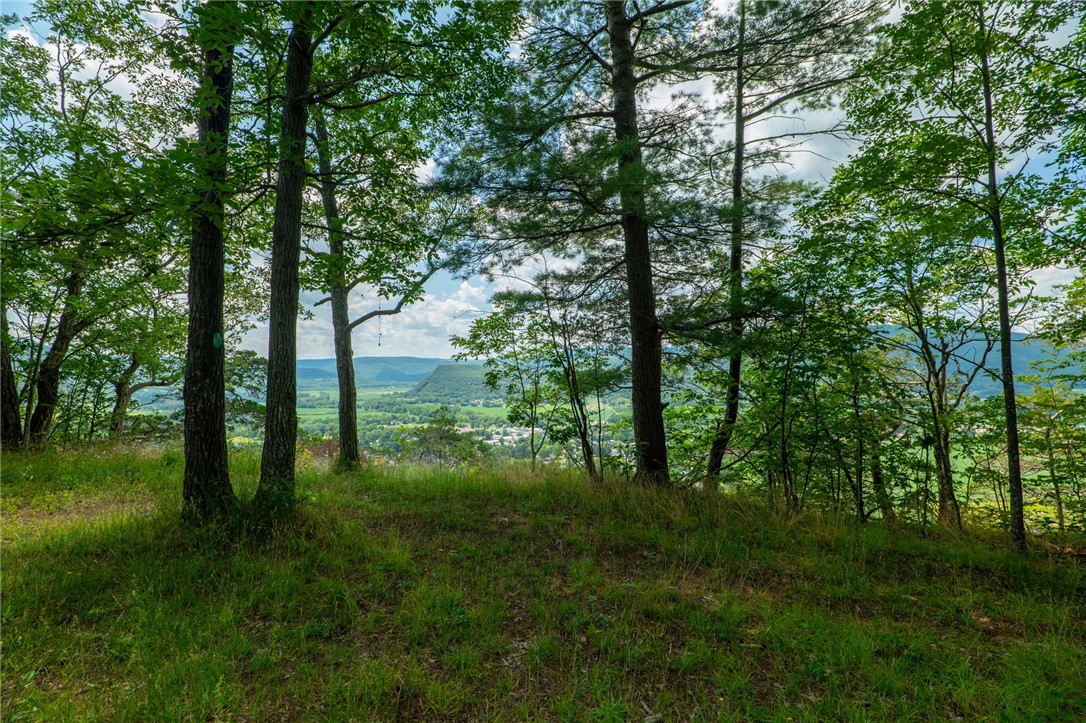 L16 MT Path Middleburgh, NY 12122 - Photo 15 of 29
