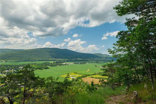 $475,000 | L16 MT Path, Middleburgh, NY 12122