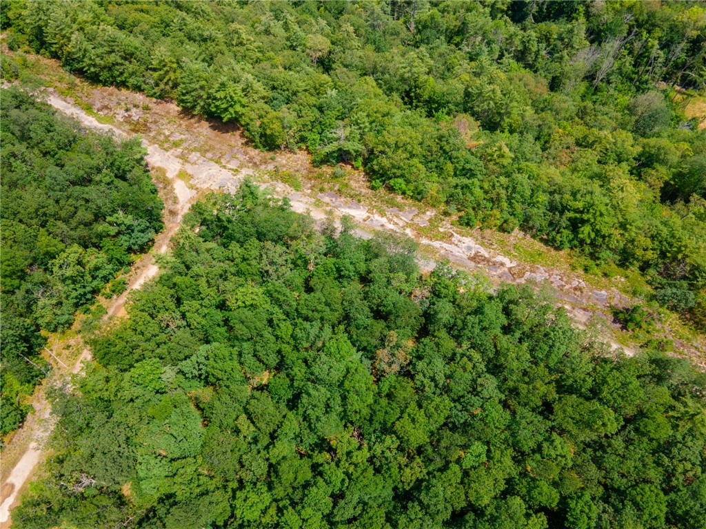 L16 MT Path Middleburgh, NY 12122 - Photo 17 of 29