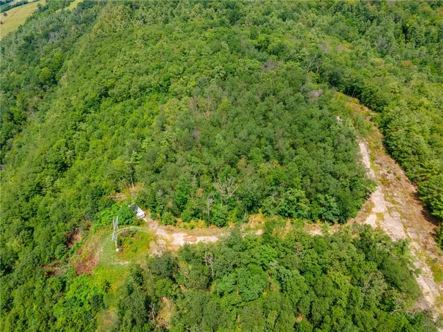 $475,000 | L16 MT Path, Middleburgh, NY 12122