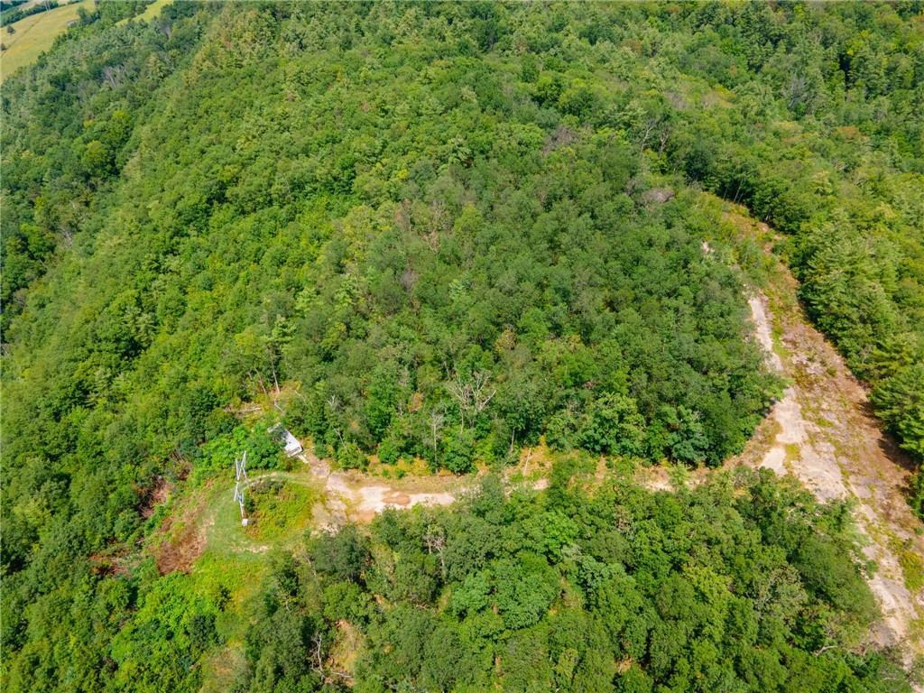 L16 MT Path Middleburgh, NY 12122 - Photo 18 of 29