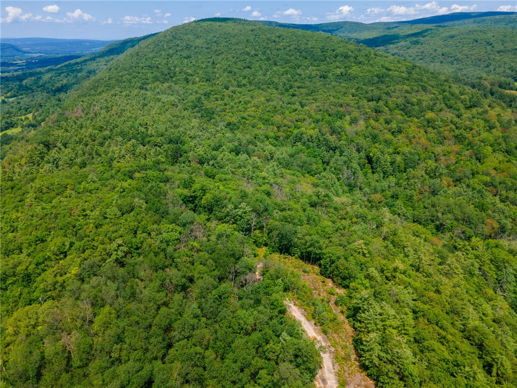 L16 MT Path Middleburgh, NY 12122 - Photo 19 of 29