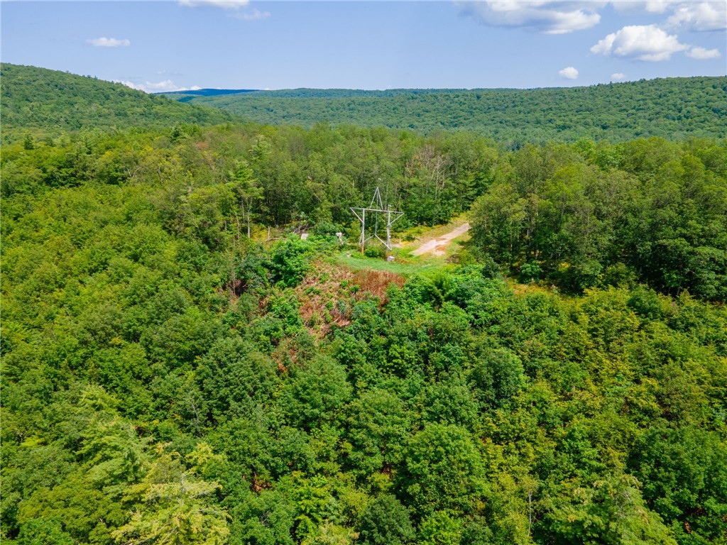 L16 MT Path Middleburgh, NY 12122 - Photo 20 of 29