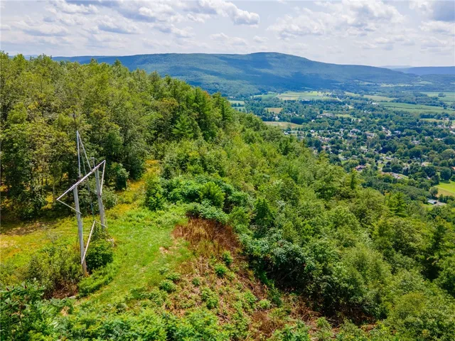 $475,000 | L16 MT Path, Middleburgh, NY 12122