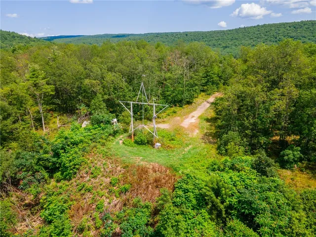 $475,000 | L16 MT Path, Middleburgh, NY 12122