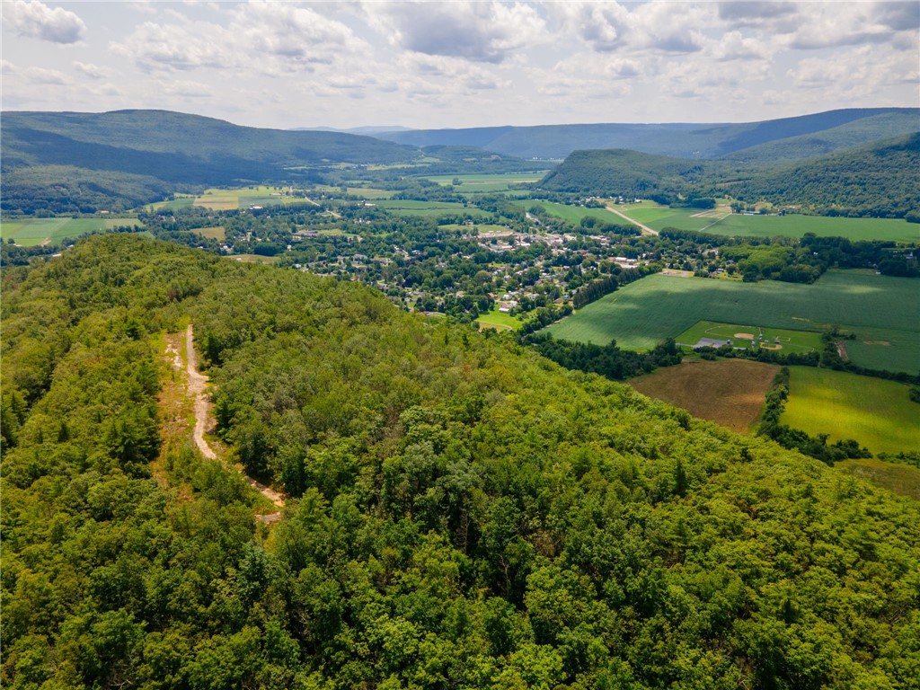 L16 MT Path Middleburgh, NY 12122 - Photo 23 of 29