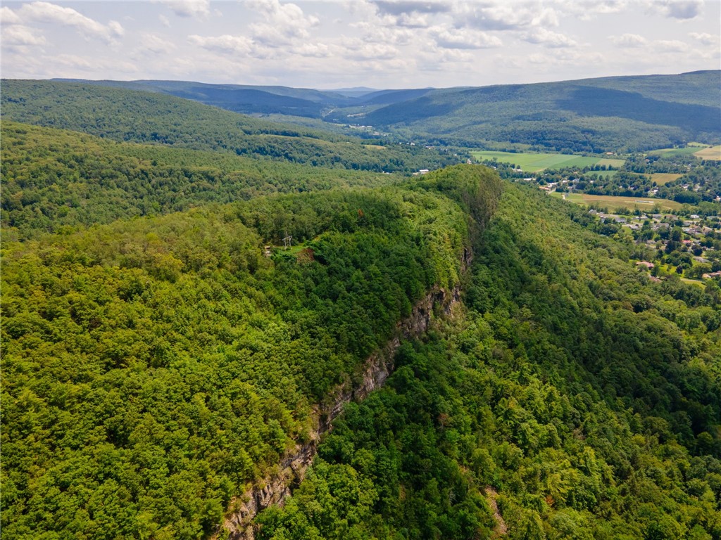 L16 MT Path Middleburgh, NY 12122 - Photo 24 of 29