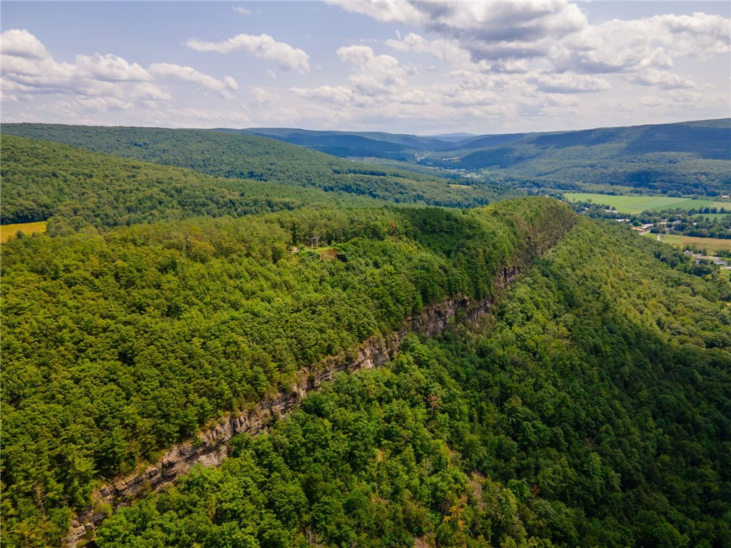 L16 MT Path Middleburgh, NY 12122 - Photo 25 of 29