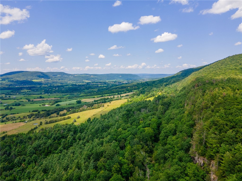L16 MT Path Middleburgh, NY 12122 - Photo 27 of 29