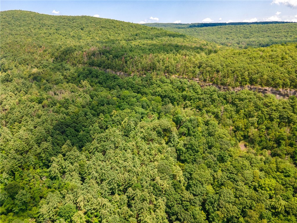 L16 MT Path Middleburgh, NY 12122 - Photo 7 of 29